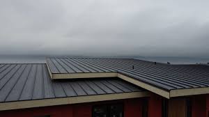 Best Solar Panel Roofing Installation  in Tichigan, WI